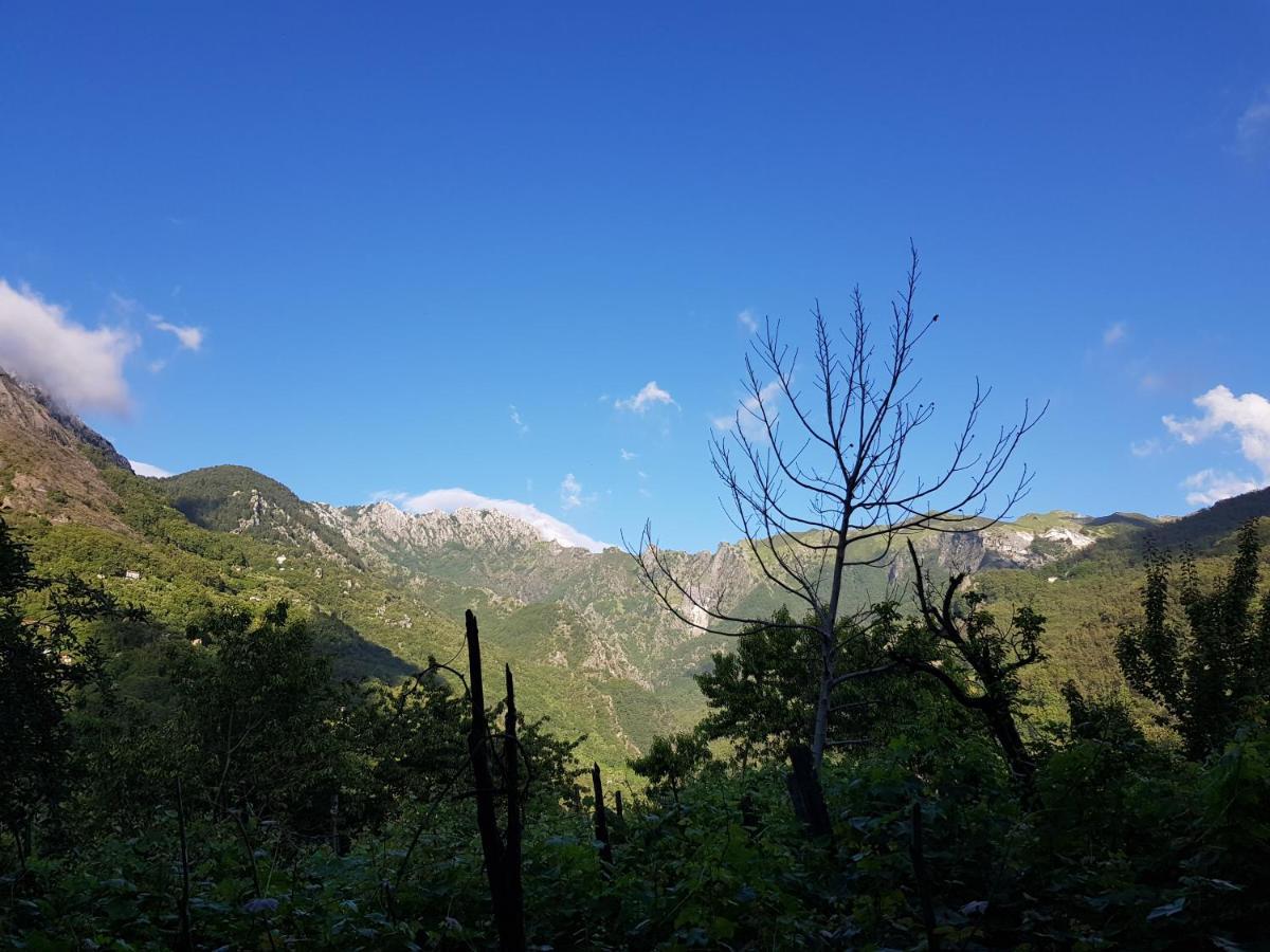 Casa Apuania Holiday home